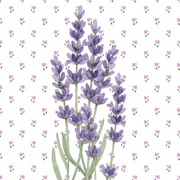 oakandlavender